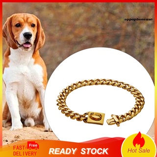 oppo collar/choker con hebilla de color dorado de acero inoxidable para perros/suministros para mascotas