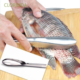 CLORINDA Tool Fish Scales Cleaner Stainless Steel Fish Scales Fish Scales Remover Seafood Picks Gadgets Fish Skin Kitchen Cleaning Brush/Multicolor