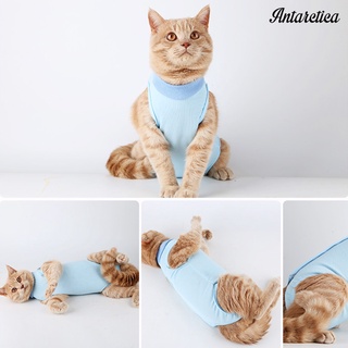 Antarctica Pet para mujer/Gato transpirable esterilización/traje de ropa/Vestido quirúrgico (5)