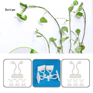 Dottam Stable Plant Fixed Hooks Plant Climbing Wall Self-Adhesive Fastener Tied Fixture Hooks Useful for Home
