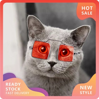 Lentes de sol cuadrados universales para gatos/gatos/lentes de sol/fotos/accesorios para mascotas