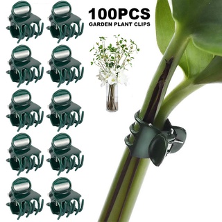 100 pzs clips de plástico para plantación de jardín/clip de clip de orquídea para vegetales flor atadas paquete de rama de fijación herramienta de jardín