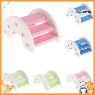 ptimistica-hamster erizo arco iris arco puente pequeño animal juego escalera de escalada kit de juguete