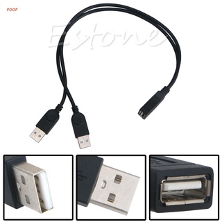 Nuevo Cable adaptador USB hembra a 2 macho Dual Jack Y Splitter Hub Cable adaptador de 26 cm