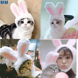 『27 mascotas』sombrero de mascota gato lindo orejas de conejo gorra gato tocado para mascotas sombrero de suministro para perro gato