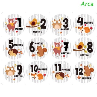 arca bebé pegatinas mensuales, bebé primer año mes edad crecimiento hitos animales pegatinas unisex, 1 a 12 meses