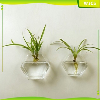 (Wici) Maceta De Plantas Suculentas/maceta Transparente Para colgar en la pared