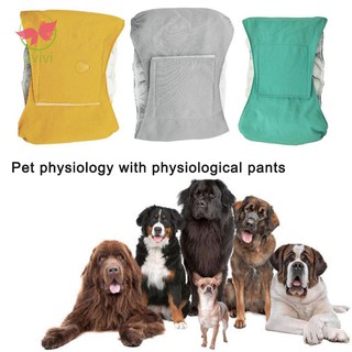 Reutilizable Macho Mascota Perro Pañales Pantalones Simples Menstruales Sanitarios Suministros Mascotas