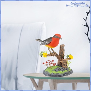 Brkeoto juguete electrónico parlante de pájaros que habla loro juguetes regalo Para niños