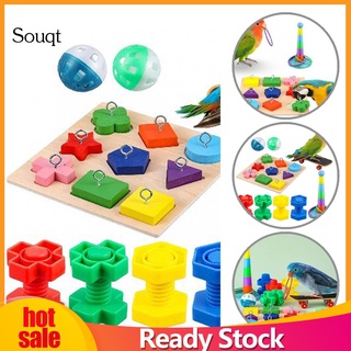 sq- pequeños accesorios mascotas loro bloque rompecabezas juguete loro juguetes de entrenamiento buena artesanía para mascotas
