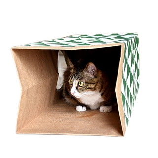 1pc juguetes para mascotas/suministros para gatos/juguete de menta para gatos/tunel de casa plegable/juego de agujeros/regalo de papel kraft (2)