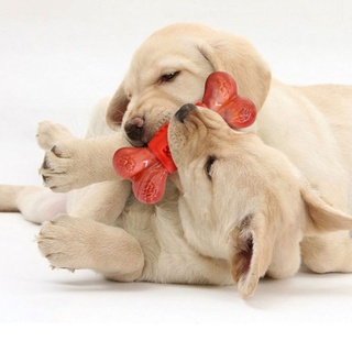 nak tough dog toys extreme chew toys indestructible para perros juguete interactivo masticar huesos de perro hecho con nylon y goma (6)