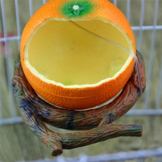 alimentador de pájaros de plástico en forma de fruta loro hámster recipiente de alimentos para mascotas