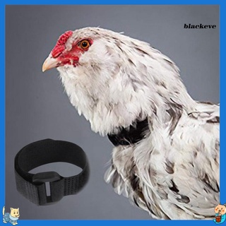 Bl-2Pcs Collar de pollo Anti cuervo libre de ruido gallo cinturón ajustable hebilla aves de corral suministros para patos
