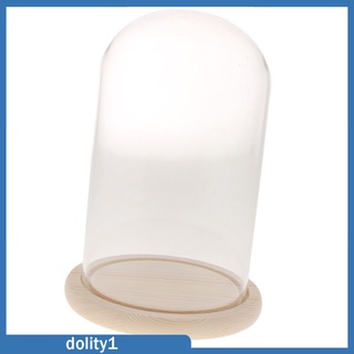 [DOLITY1] Cúpula de cristal de madera con Base Cloche cubierta de vidrio florero titular A (6)