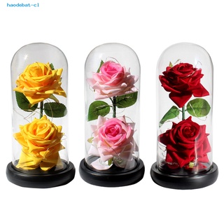 hao-Durable De Cristal Rosa Regalo De Dos Rosas De Simulación De La Flor Luz Hermosa Para El Día De San Valentín (7)