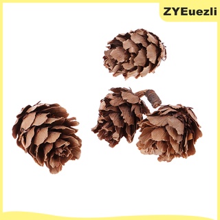 30 pequeños conos de pino seco naturales en flores secas a granel para decoración navideña (1)