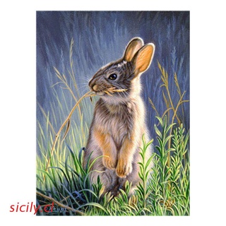 sicilia conejo pintura al óleo digital por números lienzo imagen de pared diy arte pintado a mano