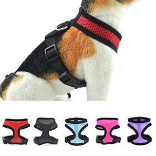 Collar/Armor Para Mascotas/Cinturón De Seguridad/Malla/Ajustable/Ropa