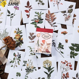 Jane 50 hojas/paquete de estilo Simple de arte Natural papelería libro planta mariposa decoración pegatina Scrapbooking calcomanía nueva DIY moda Vintage