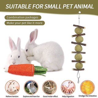 pequeño animal juguete mascota snack juguete con hierba pastel manzana madera masticar palos