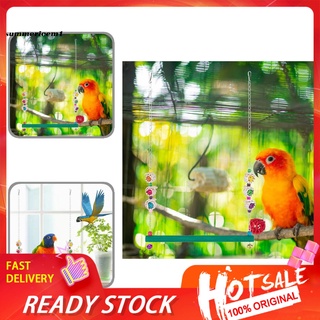 SUMMEZ Universal Chicken Toy Parrot Swing Toy Chicken Toy Stress Relief Bird Supplies