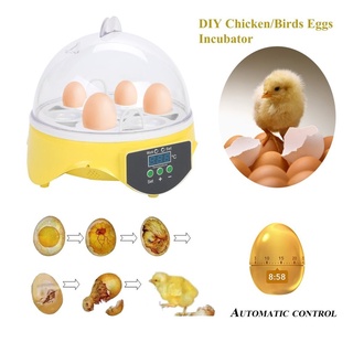 0913d 7 huevos capacidad de huevos de pollo incubadora de aves de control automático herramienta de incubación