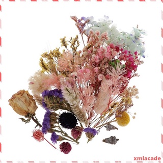 1 caja de flores secas decoracin uas pegatinas para manualidades