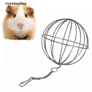 Royalvalley-Dispensador De Alimentos Redondos De Acero Inoxidable Para Mascotas , Conejo , Pelota Colgante , Juguetes CL