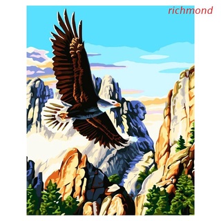 richm pintura por números para adultos y niños diy pintura al óleo kits de regalo preimpreso lienzo arte decoración del hogar -soaring eagle (1)