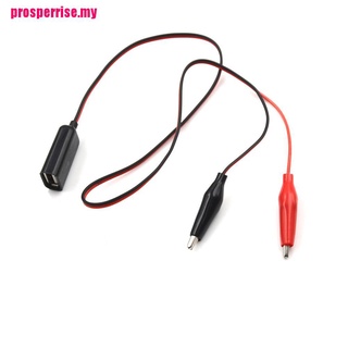 {P&P} pinza de cocodrilo de alambre a hembra conector USB de prueba cables pinzas de cocodrilo de cobre