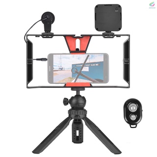 Fy Andoer Smartphone Video Rig Vlog Kit incluye jaula para Smartphone con abrazadera de teléfono 3 soportes de zapata fría + Mini luz de vídeo LED recargable 5600K + micrófono + trípode de escritorio + obturador remoto para grabación de vídeo Vlog transmisión en vivo