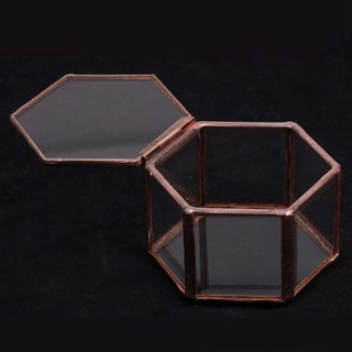 caja de cristal geométrico para terrario, caja de joyería, cristal, suculentas, maceta, forma hexagonal (5)