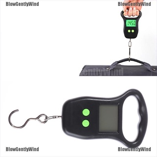BlowGentlyWind 50kg Digital Luggage Scale With Handle Hanging Electronic Scale Fishing Scale BGW