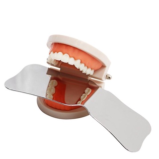 Reflector Oral ortodoncia De acero inoxidable Autoclavable cara Única Intra-Para laboratorio Dental