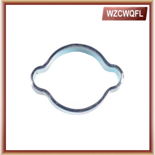 Wzcwqfl clip De oreja De acero con clips Manguera De Gasolina/tubo De aire