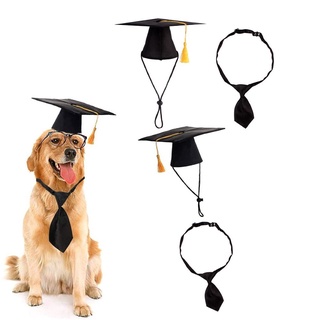in2capitaleur nueva mascota graduación trajes fiesta sombreros perro sombrero graduación corbata gorra académica moda cosplay juguete fotografía ropas (6)