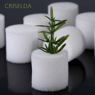 CRISELDA 50 pcs Gardening Tools Harmless Soilless cultivation Planted Sponge White Natural Homemade Soilless Planting Hydroponic Vegetable/Multicolor