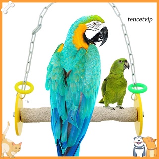 SG--Pet Bird Parrot Macaw Hanging Chain Swing Stand Perch Cage Pendant Chewing Toy