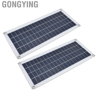 Gongying 2x10W Monocrystalline Silicon Solar Panel Emergency Battery Charger Kit New