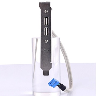 【bai】Two-port USB Rear Bezel Desktop Cable Computer 2.0 Motherboard Extension Cable