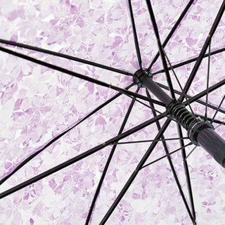 Esqueleto Romántico Transparente Flores Transparentes Burbuja Domo Paraguas Medio Automático Para El Viento Fuerte Lluvia (5)
