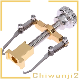 [chiwanji2] corrector de uñas encarnado de pedicura herramienta de pie corrección ortopédica dorada (2)