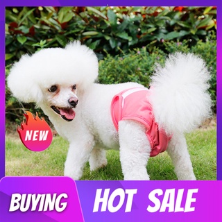 querenmim Pet Perro Transpirable Pantalones Menstruales Fisiológicos Sanitarios Lavables