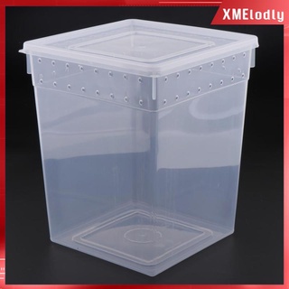 Clear Plastic Insect Breeding Box Reptile Gecko Spider Feeding Cage