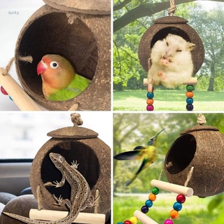 lucky coco nido cabaña con escalera para loros periquitos conures cacatúas animales pequeños casa jaula para mascotas hábitats decoración