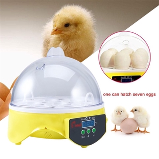 * Hatcher de pollo único automático 7 huevos incubadora de giro Control de temperatura (1)