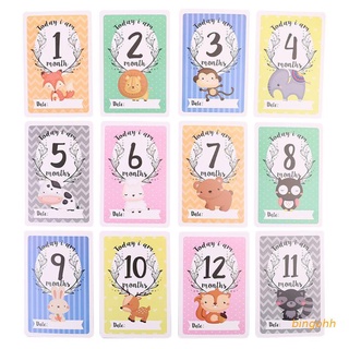 bin 12 Sheet Milestone Photo Sharing Cards Gift Set Baby Age Cards Photography Photo