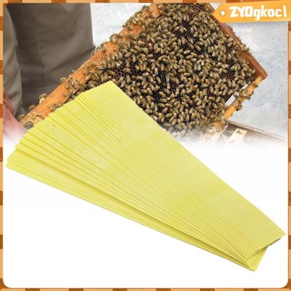 20x pro apicultura fluvalinate abeja ácaros varroa killer tiras de herramientas para abeja