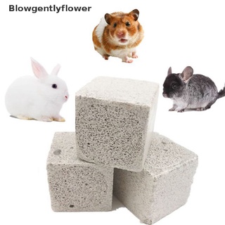 Blowgentlyflower Natural Mineral Teeth Molar Stone Small Pet Dental Care Chew Toys Pets Supplies BGF